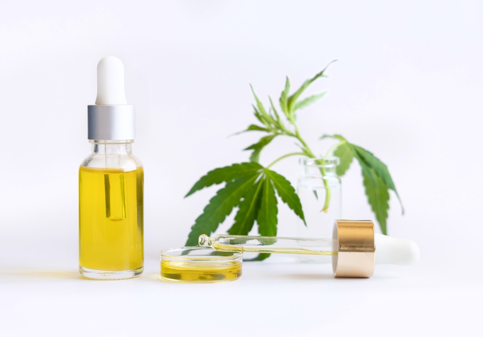 Dropper bottle with pipette near green cannabis leaves close up on white. CBD oil